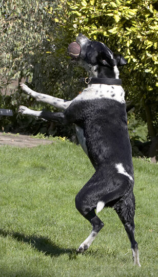 Bullseye!