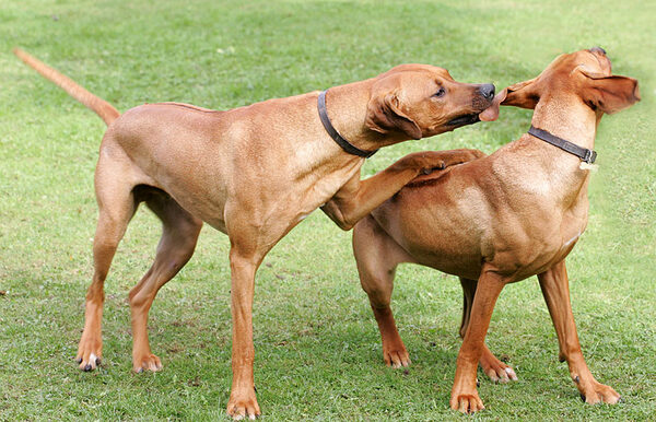 Playtime