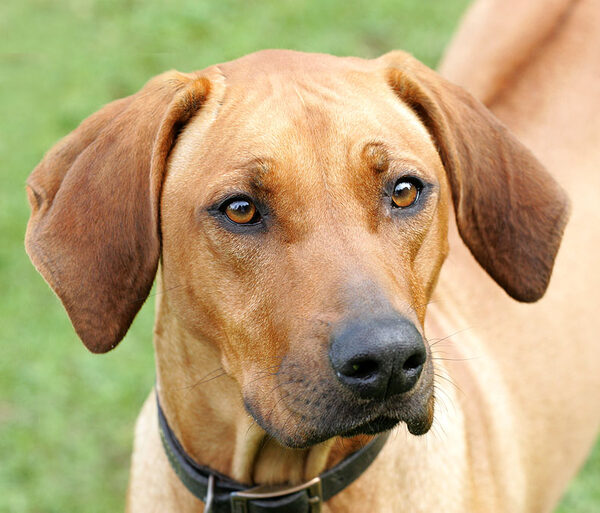 Kila looking very handsome