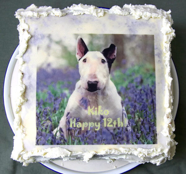 Kiko's Birthday Cake