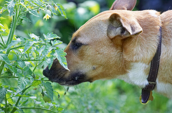 Mmmm, this smells good