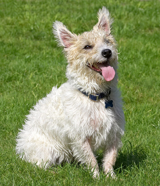 I'm such a happy chappie