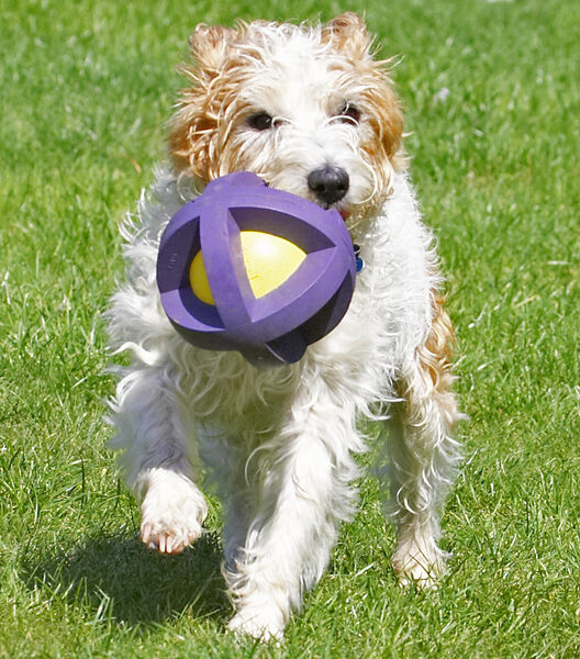 Look, this ball is almost as big as me