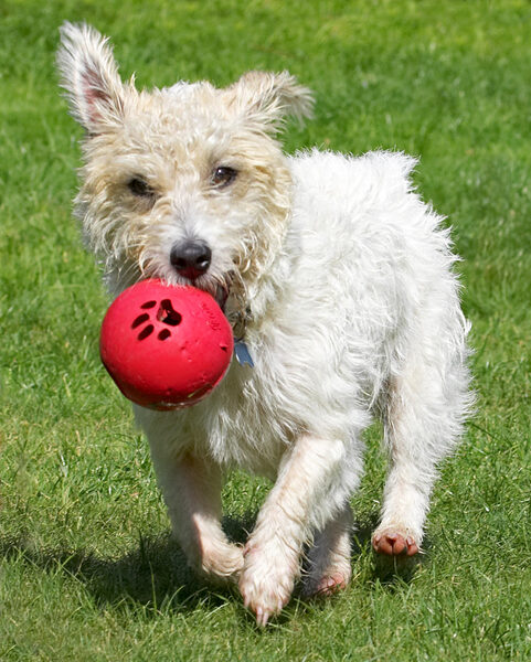 I got the ball