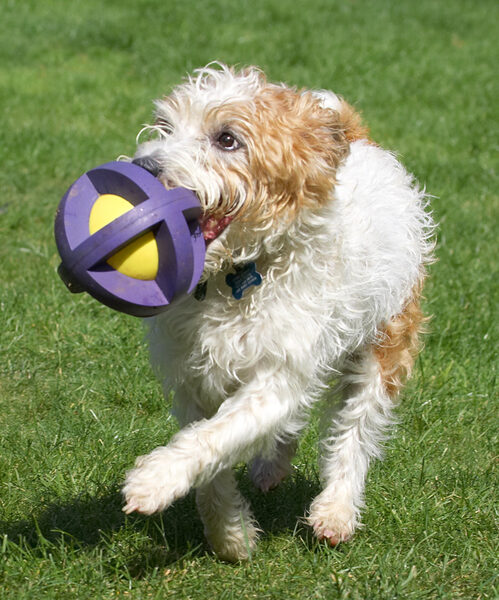 Look, ball ballet