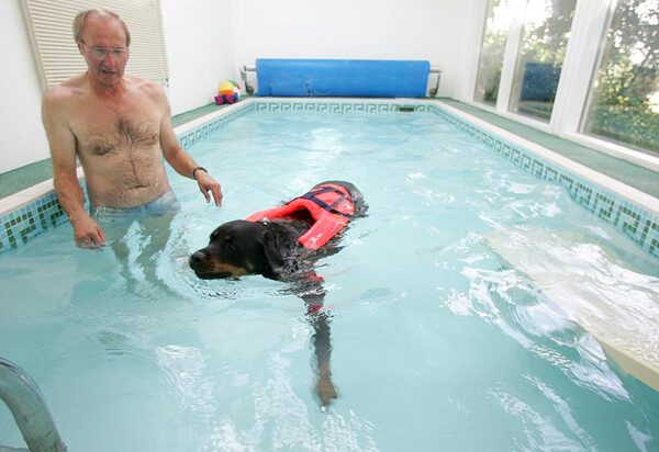 Ronan Having A Swim