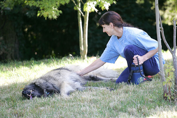 Marjorie Rubbing Oscar's Tummy