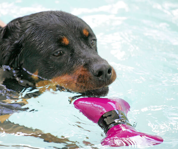 Ronan and The Floating Bone