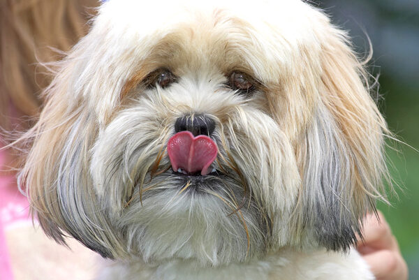 Look, I'm just cleaning my nose.  OK?!
