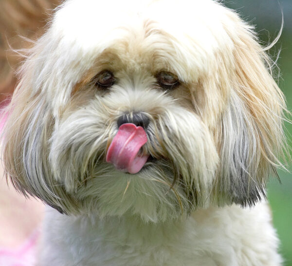 Boy, there's a lot of stuff on my nose