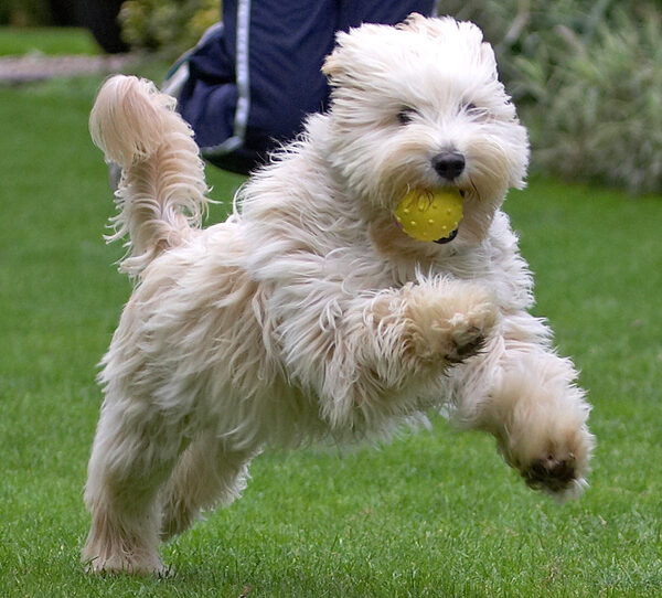 I just love a good run