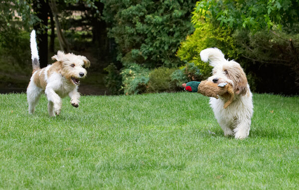 GIVE IT BACK!!