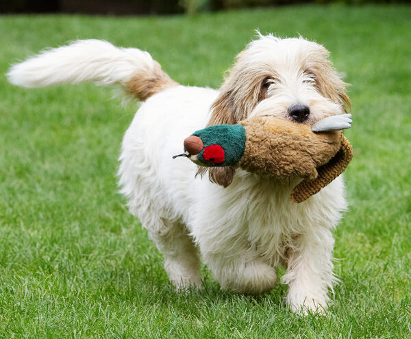 Now, I jus' gotta get this away from Libbie