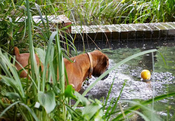 S'pose I'm gonna have to get wet to get that.......