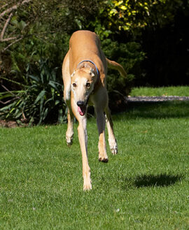 I'm on Energiser batteries!! ........