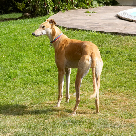 Hmmm, what's going on over there?