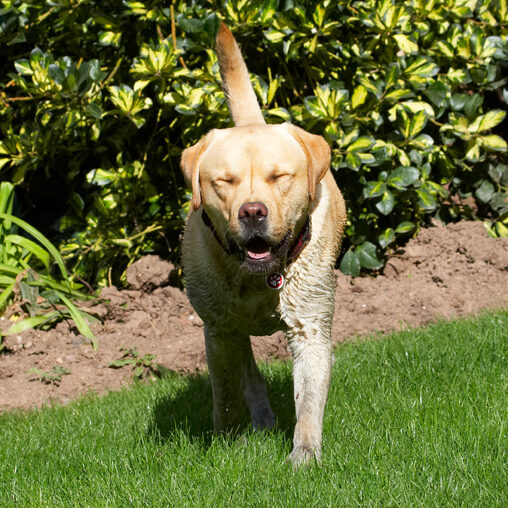 Ooooh, wot WAS in that water????