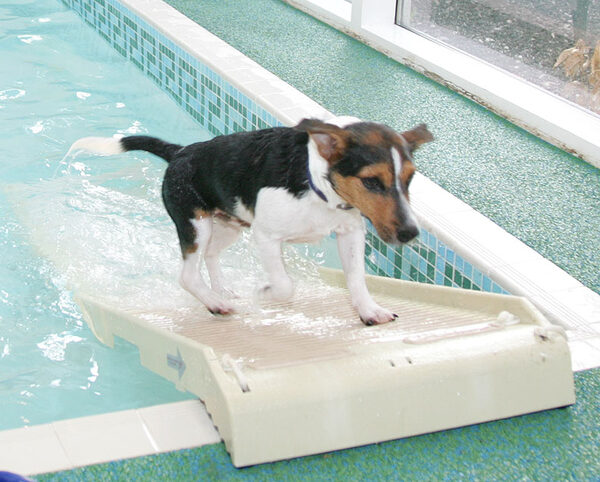 Jake Up The Ramp