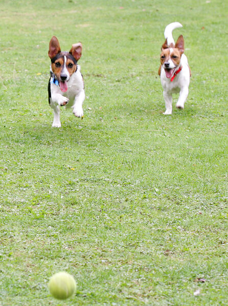 Jake and Sally Playing Catch
