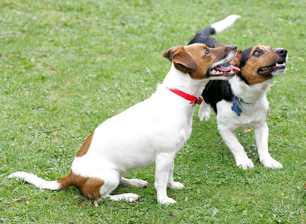Sally and Jake