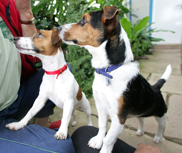 Sally and Jake