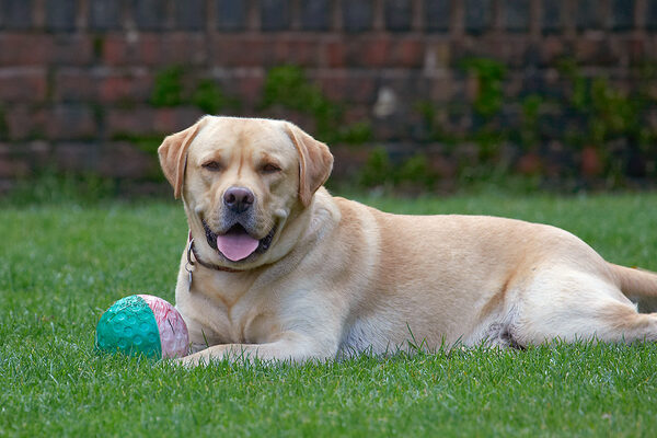 Jus' chilling out