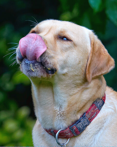 .......... oh, yes, snack time