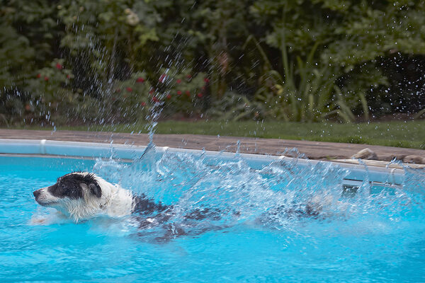 What a plunge!