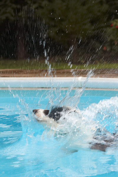 I know how to make a splash