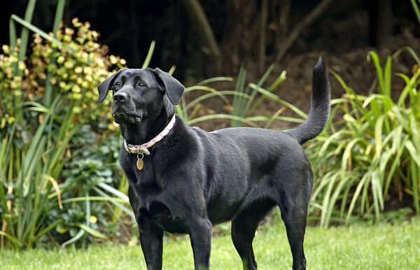 Jus' thinking about wot to do next