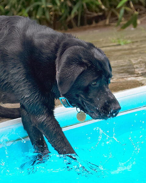 C'mon, let's have some industrial strength paddling