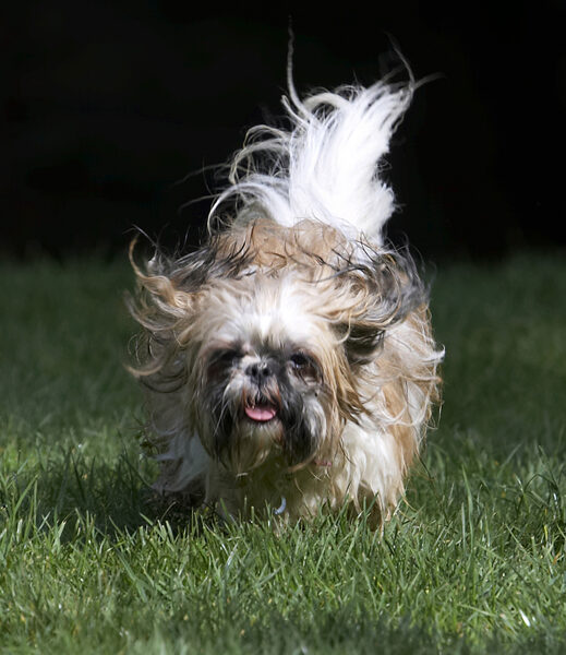 Ha, I'm running on Energiser Bunny batteries too