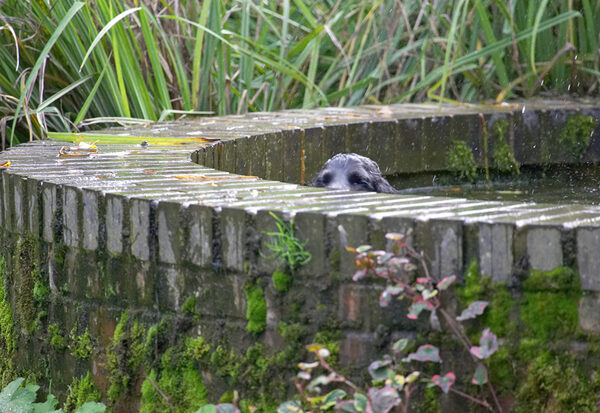 Should I be in here?