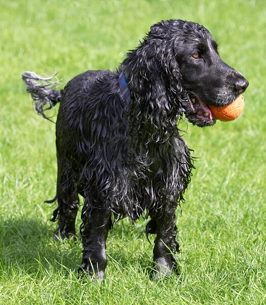 's'long as I got a ball I'm happy