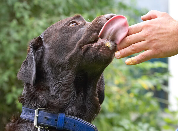 Well, he won't have to wash his hand!