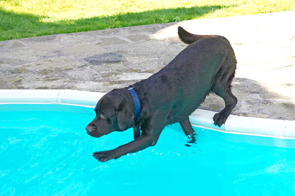 Had my snack - time for another swim