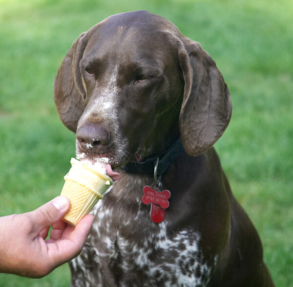 Who wants ball when there's ice cream on offer