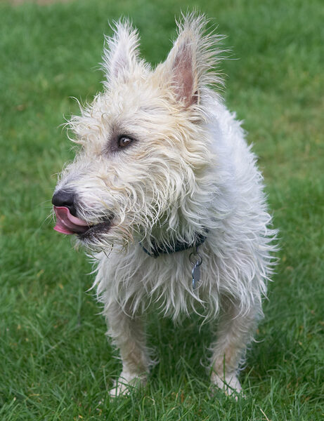 Butter wouldn't melt...............
