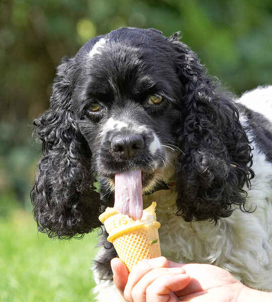 I knew I had this long tongue for a good reason