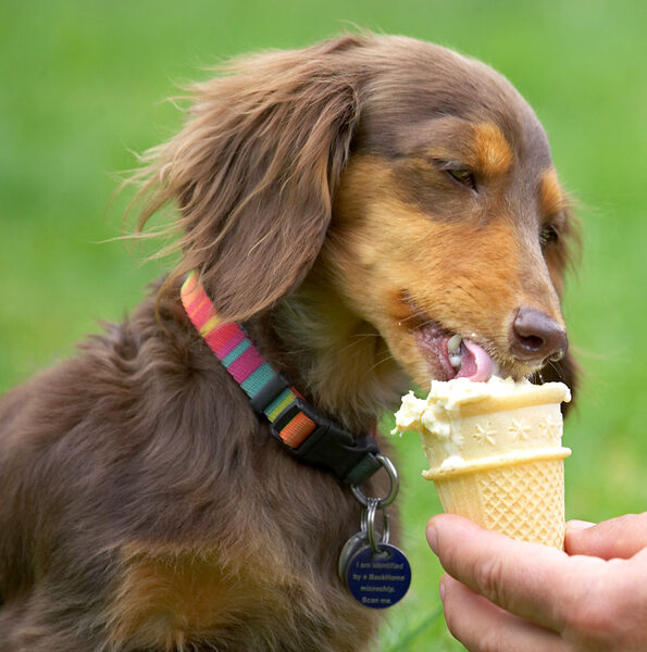 This is a big cone for a little girl