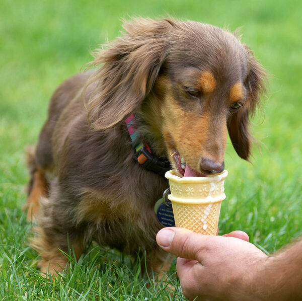 Boy, this ice cream goes a long way down