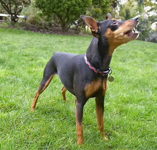 I'm all ears