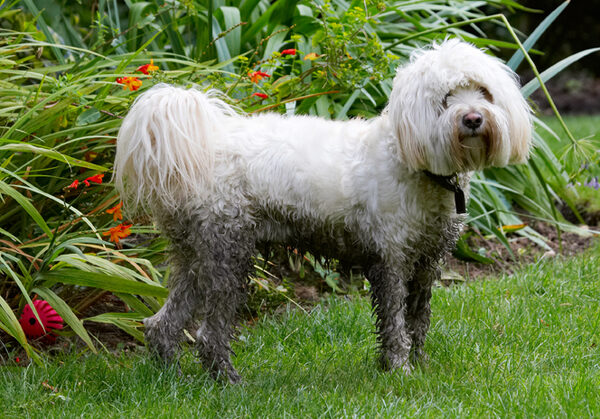 Yeah, I know, I'm mucky