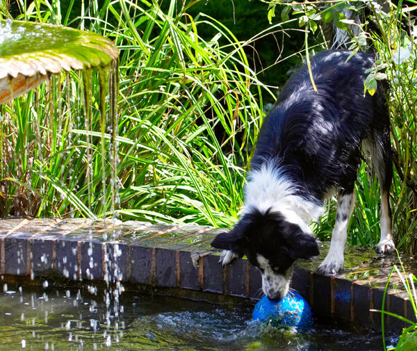 What a retrieval!!