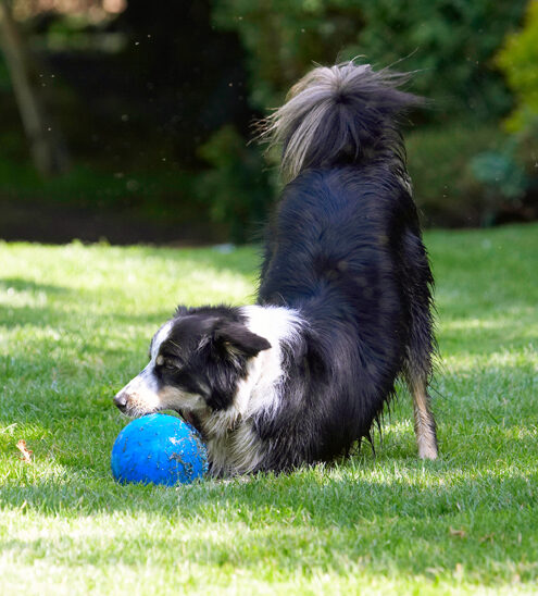 Hey, this is good to chew