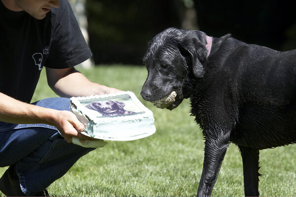 Hmmm, ball or cake?