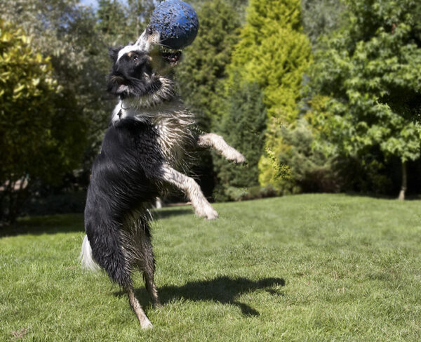 Poetry in motion