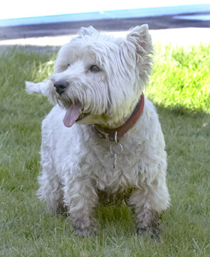 Well, I got myself well muddy