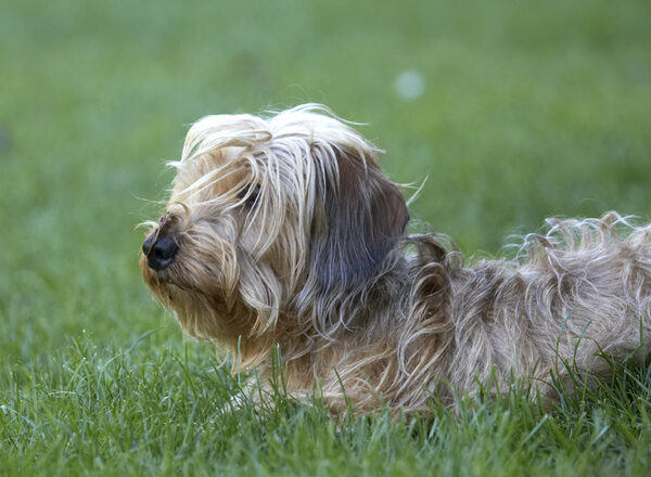 Surveying my territory