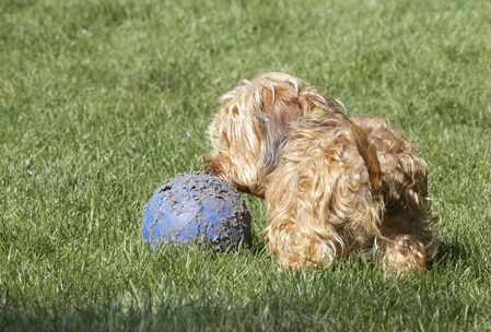 Wow, this is a big ball